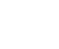 shape_1_4 2